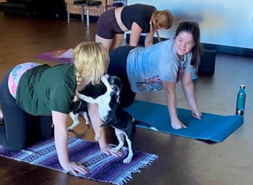 Yoga in Tucson Arizona