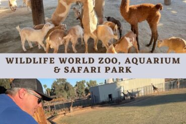 Zoos, Animal Farms and Aquariums in Abilene Texas