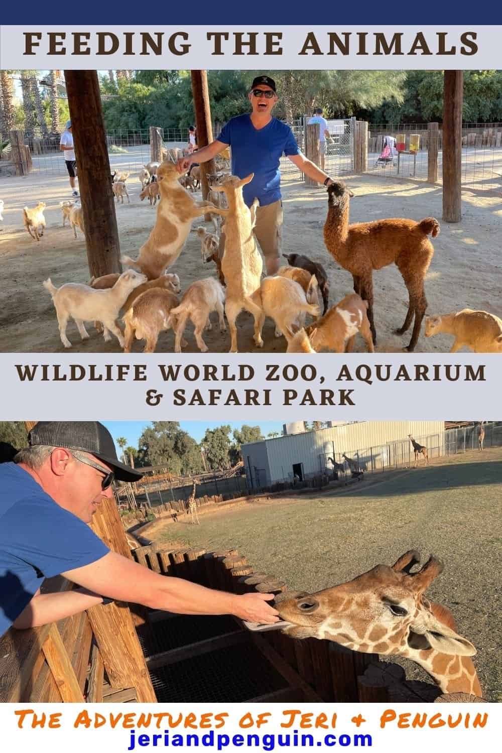Zoos, Animal Farms and Aquariums in Abilene Texas