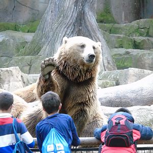 Zoos, Animal Farms and Aquariums in Alameda California