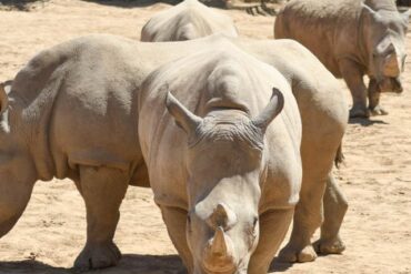 Zoos, Animal Farms and Aquariums in Chandler Arizona