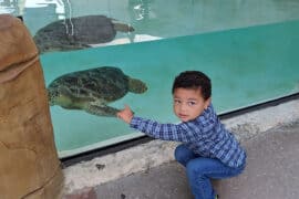 Zoos, Animal Farms and Aquariums in Chula Vista California