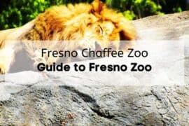 Zoos, Animal Farms and Aquariums in Clovis California