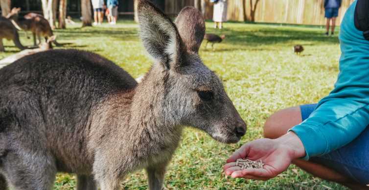 Zoos, Animal Farms and Aquariums in Eastern Hong Kong Island