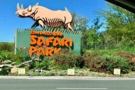 Zoos, Animal Farms and Aquariums in Escondido California