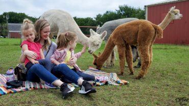 Zoos, Animal Farms and Aquariums in Garland Texas