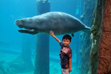 Zoos, Animal Farms and Aquariums in Geylang