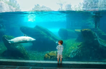 Zoos, Animal Farms and Aquariums in Grand Prairie Texas