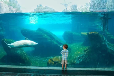 Zoos, Animal Farms and Aquariums in Grand Prairie Texas