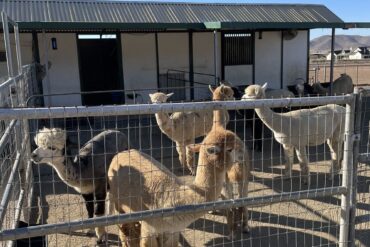 Zoos, Animal Farms and Aquariums in Hemet California