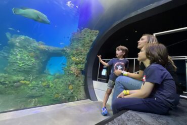 Zoos, Animal Farms and Aquariums in Kansas City Kansas