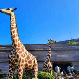 Zoos, Animal Farms and Aquariums in Kwai Tsing New Territories