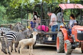 Zoos, Animal Farms and Aquariums in Leander Texas