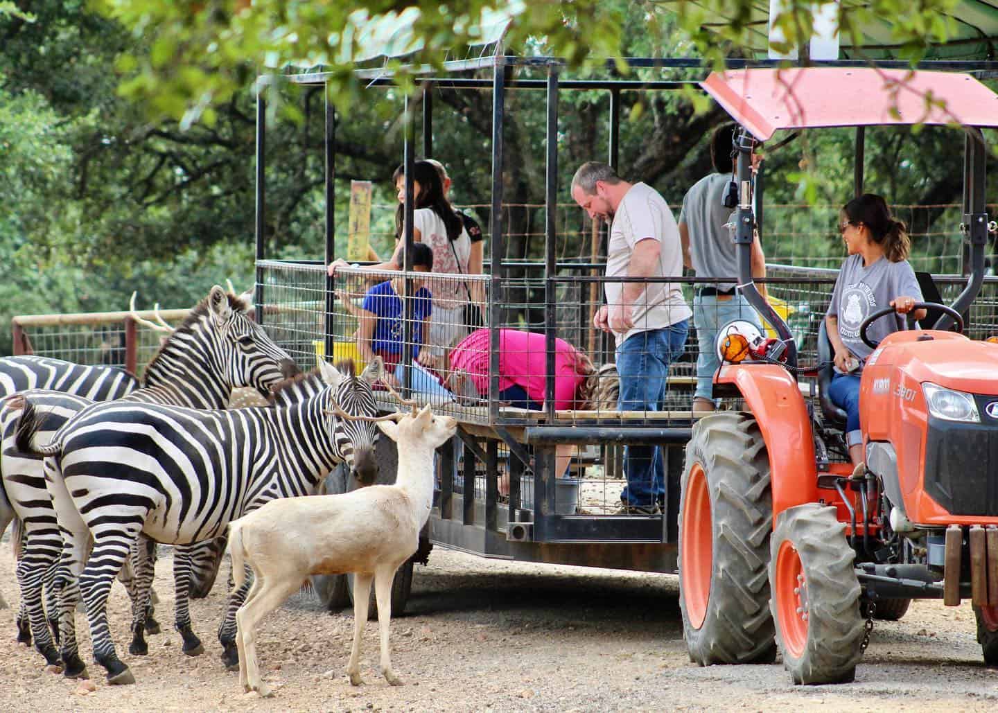 Zoos, Animal Farms and Aquariums in Leander Texas