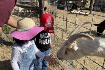 Zoos, Animal Farms and Aquariums in Manteca California