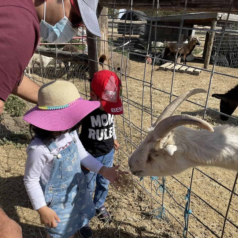 Zoos, Animal Farms and Aquariums in Manteca California