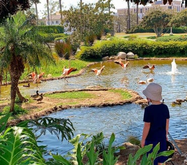 Zoos, Animal Farms and Aquariums in Murrieta California