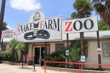 Zoos, Animal Farms and Aquariums in New Braunfels Texas