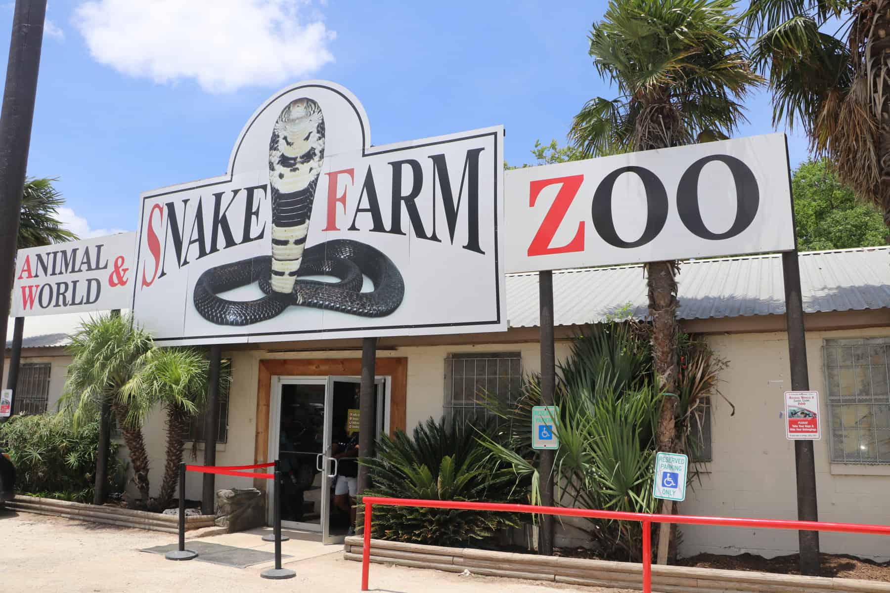 Explore a Variety of Zoos, Animal Farms, and Aquariums in New Braunfels