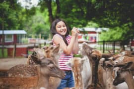 Zoos, Animal Farms and Aquariums in Pearland Texas