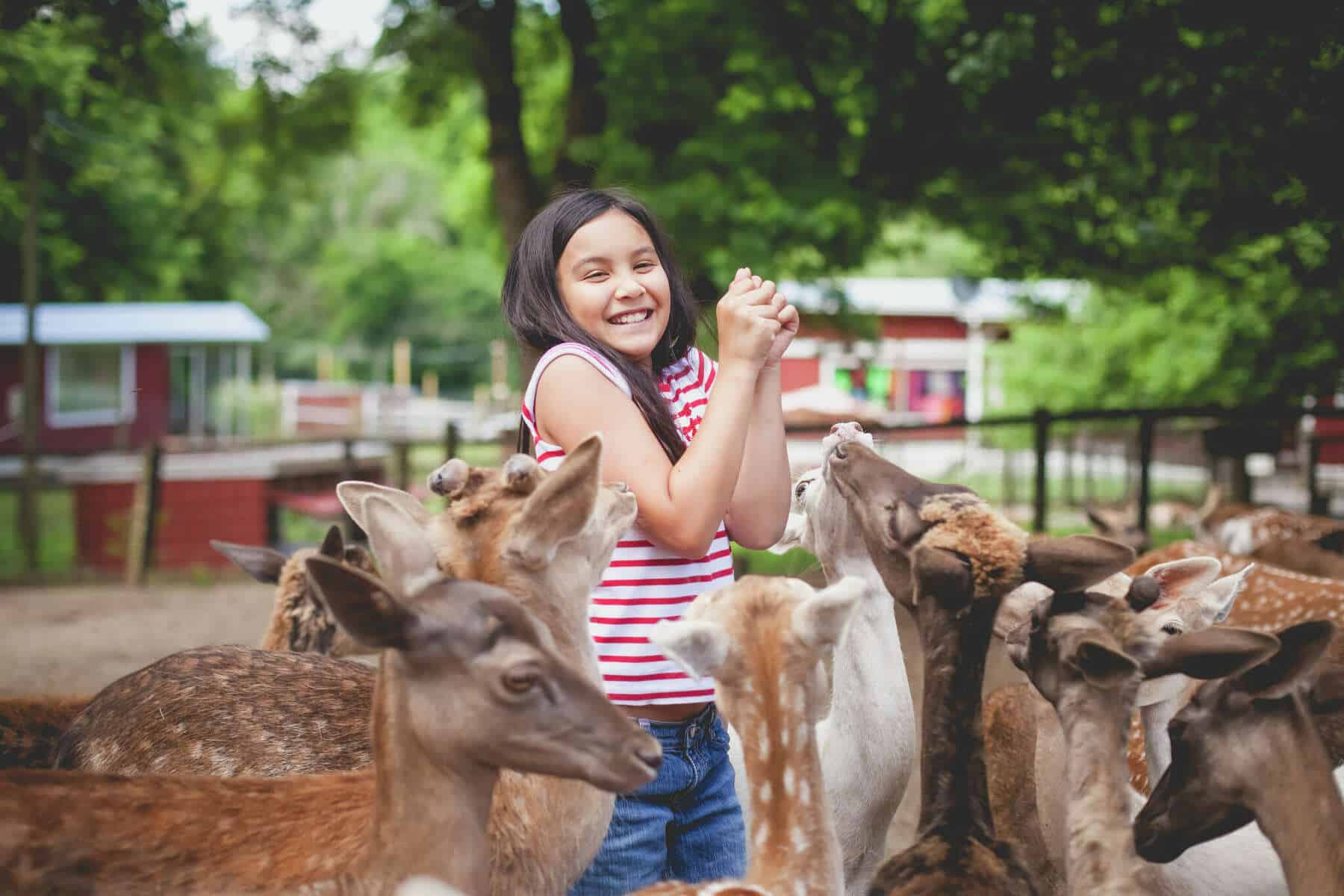 Zoos, Animal Farms and Aquariums in Pearland Texas