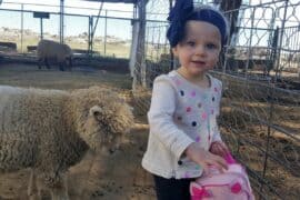 Zoos, Animal Farms and Aquariums in Perris California