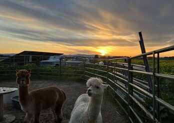 Zoos, Animal Farms and Aquariums in Rancho Cordova California