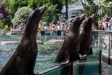 Zoos, Animal Farms and Aquariums in Redondo Beach California