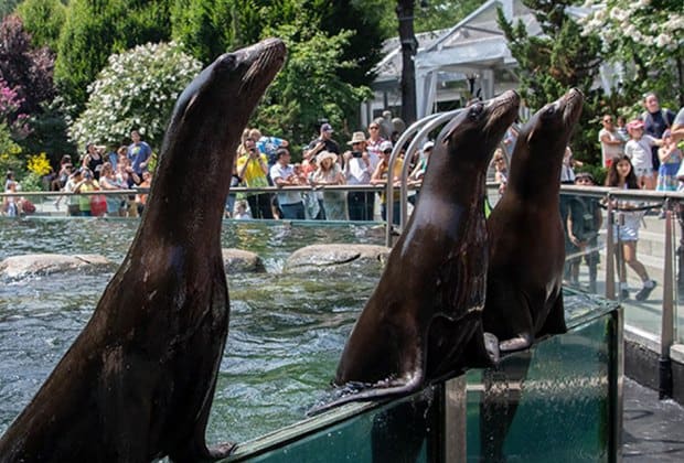 Discover the Best Zoos, Animal Farms, and Aquariums in Redondo Beach ...