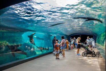 Zoos, Animal Farms and Aquariums in Rialto California