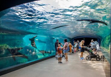 Zoos, Animal Farms and Aquariums in Rialto California