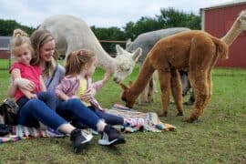 Zoos, Animal Farms and Aquariums in Richardson Texas