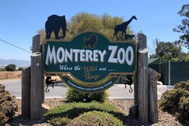 Zoos, Animal Farms and Aquariums in Salinas California