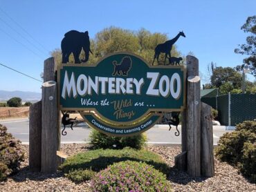 Zoos, Animal Farms and Aquariums in Salinas California