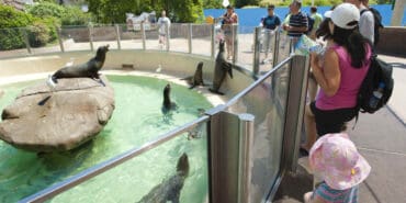 Zoos, Animal Farms and Aquariums in San Bernardino California