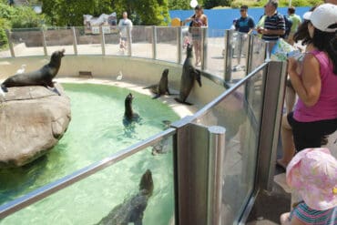 Zoos, Animal Farms and Aquariums in San Bernardino California