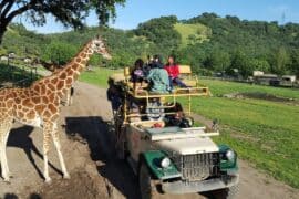 Zoos, Animal Farms and Aquariums in Santa Rosa California