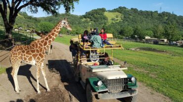 Zoos, Animal Farms and Aquariums in Santa Rosa California