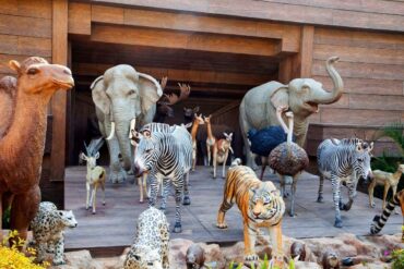 Zoos, Animal Farms and Aquariums in Sham Shui Po Kowloon