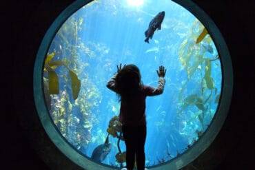 Zoos, Animal Farms and Aquariums in Singpore