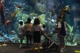 Zoos, Animal Farms and Aquariums in Tacoma Washington