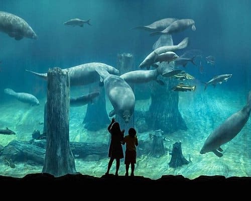 Zoos, Animal Farms and Aquariums in Tampines