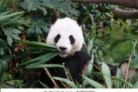 Zoos, Animal Farms and Aquariums in Tsuen Wan New Territories