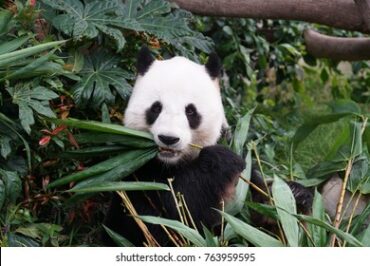 Zoos, Animal Farms and Aquariums in Tsuen Wan New Territories