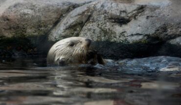 Zoos, Animal Farms and Aquariums in Vacaville California