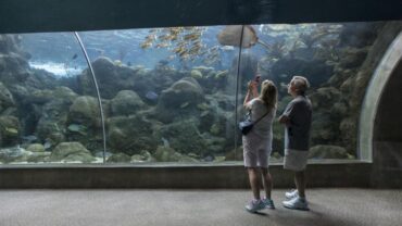 Zoos, Animal Farms and Aquariums in Ventura California