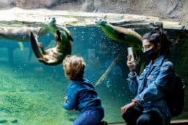 Zoos, Animal Farms and Aquariums in Woodlands