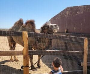 Zoos, Animal Farms and Aquariums in Yuma Arizona