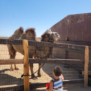 Zoos, Animal Farms and Aquariums in Yuma Arizona