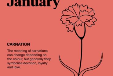 birth flower january